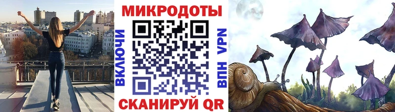 что такое   Алагир  Галлюциногенные грибы мицелий 